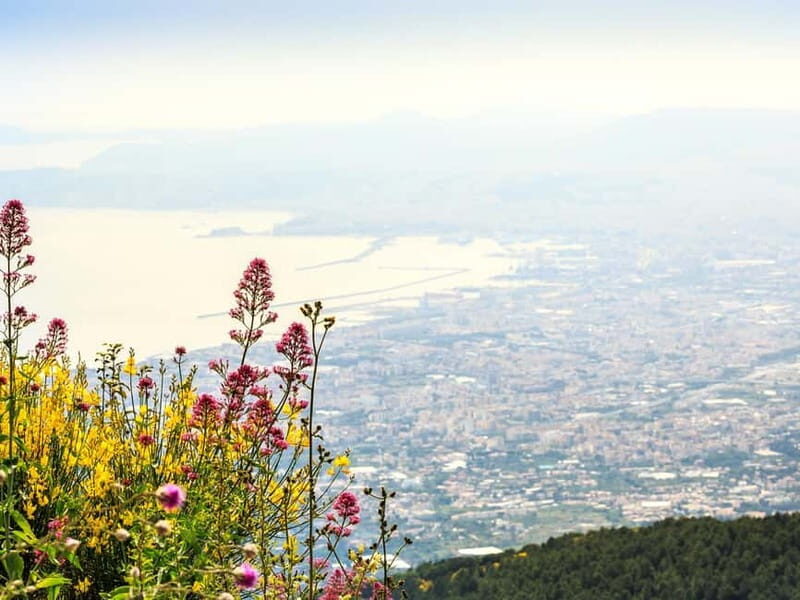 Vesuvius and Pompeii Day Trip with Lunch - Key Points