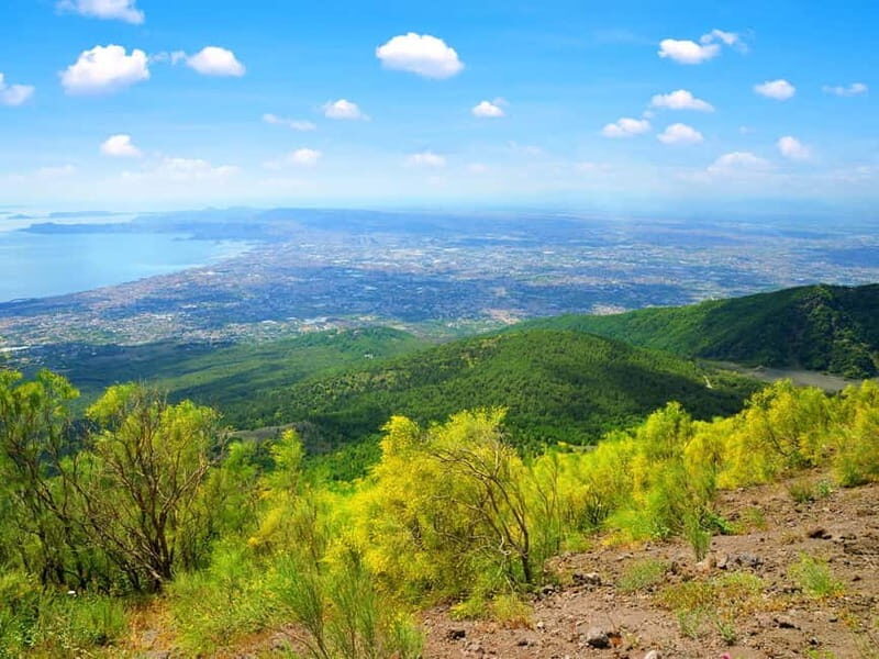 Vesuvius and Pompeii Day Trip with Lunch - Starting Point and Transportation