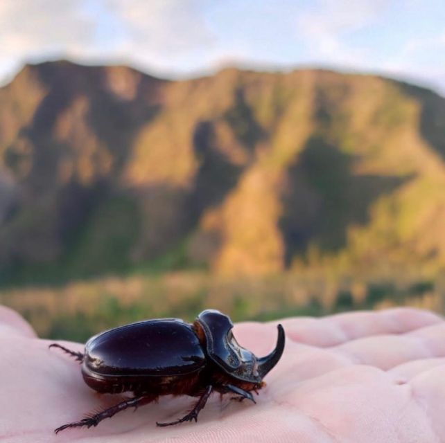 vesuvius-by-night-without-crater-original