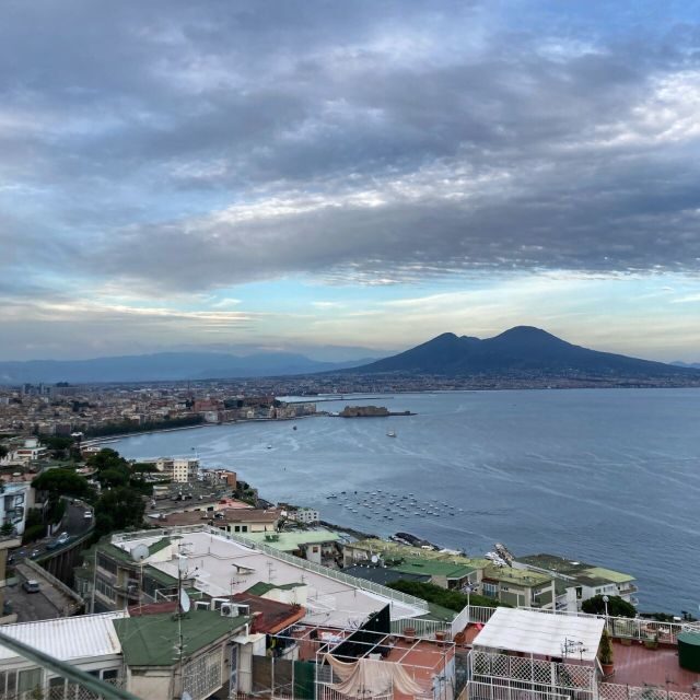 Vesuvius Park Skip-the-Line Ticket + support - An Honest Look at the Vesuvius Experience
