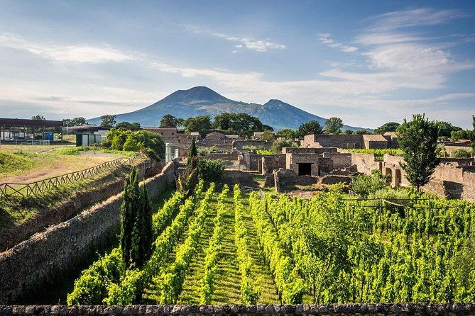 vesuvius-pompeii-ruins-experience-vineyards-and-the-winery-tour-with-lunch