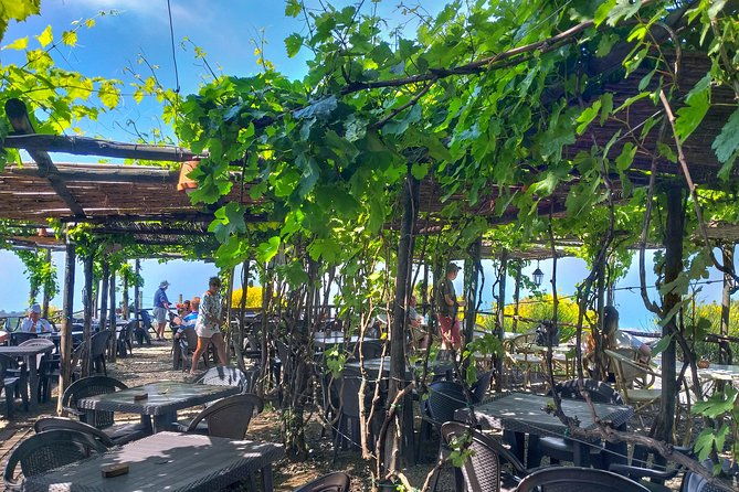 vesuvius-vineyard-select-from-sorrento