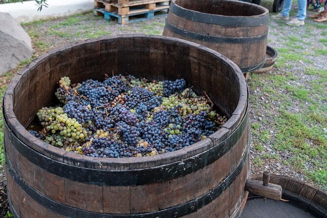 vesuvius-wine-tasting-experience-with-lunch-included