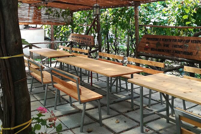 vesuvius-wine-tasting-with-company-tour