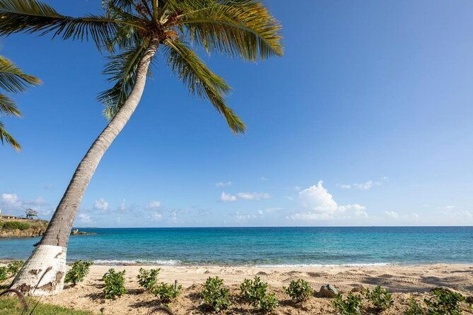vi-top-taxi-tours-airport-transfer-to-bolongo-bay-limetree