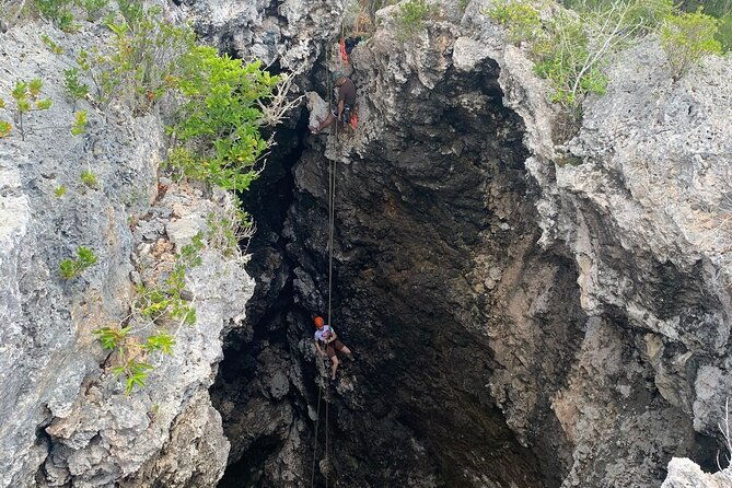 via-ferrata-and-tafelberg-rock-climbing