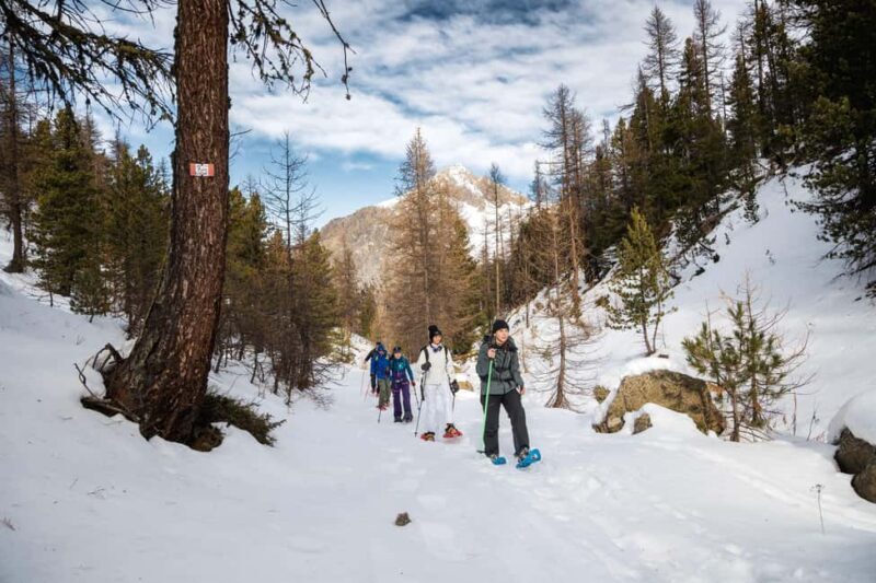 Vialattea: Snowshoeing in the Snowy Forest - The Sum Up: Who Should Consider This Tour?