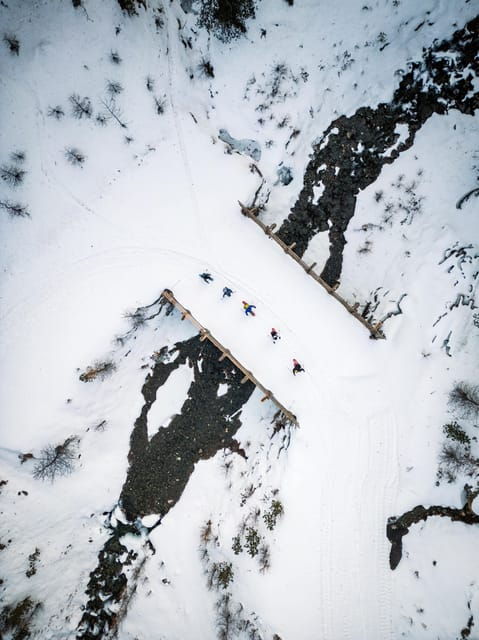 vialattea-snowshoeing-in-the-snowy-forest
