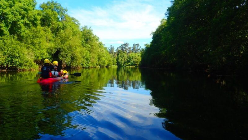 viana-do-castelo-kayak-tour-at-lima-river