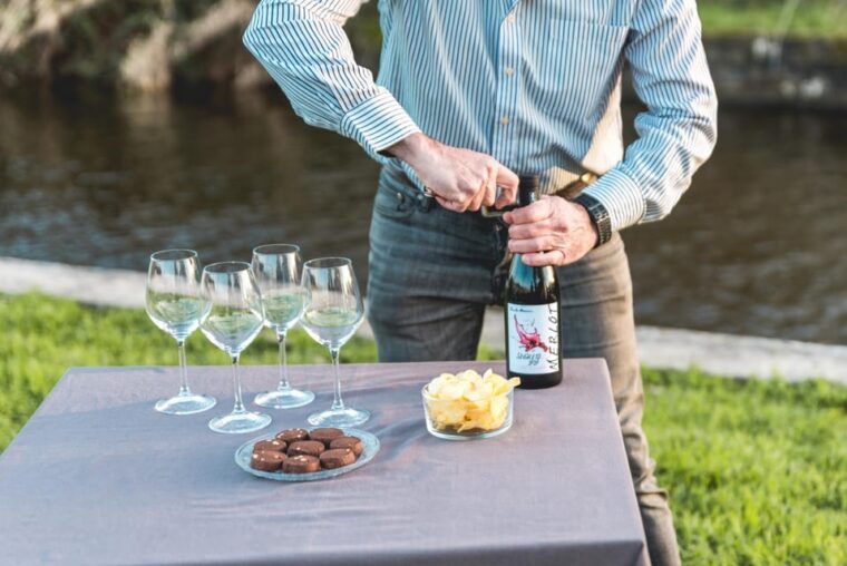 viareggio-marshes-electric-boat-tour-with-wine-tasting