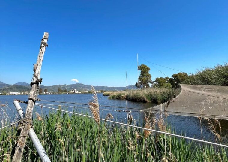viareggio-natural-reserve-sunset-canoe-tour-with-aperitif