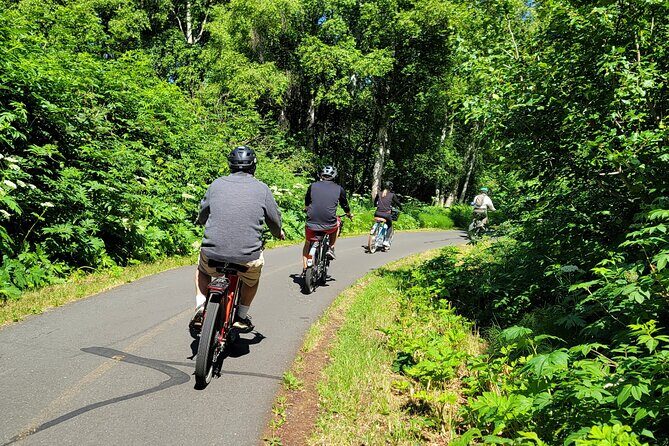 Viator Exclusive: Go eBike Alaska on Tony Knowles Trail - FAQ
