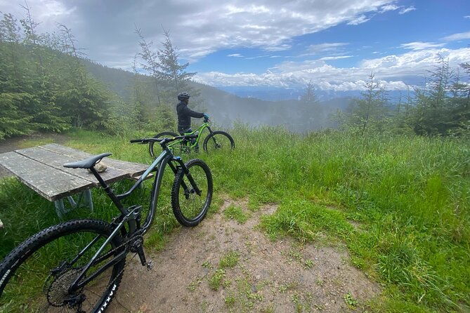 viator-exclusive-half-day-mountain-bike-tour-from-seattle