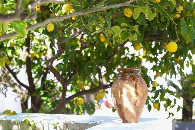 Viator Exclusive: Local Cooking Class & Dinner with View of Nice - Who Will Love This Experience?