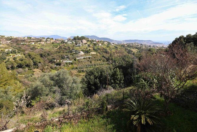 Viator Exclusive: Local Cooking Class & Dinner with View of Nice - FAQs