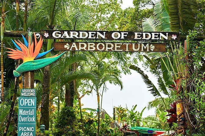 viator-exclusive-maui-tropical-rainforest-small-group-tour
