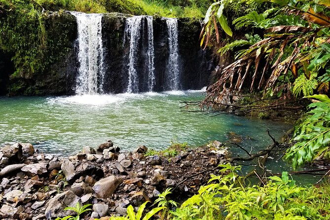 viator-exclusive-maui-tropical-rainforest-small-group-tour