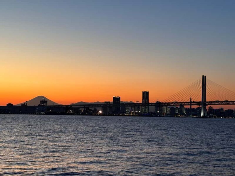 Vibrant Yokohama: Private Day of Culture, Seaside & Skylines - Why Choose This Yokohama Private Tour?