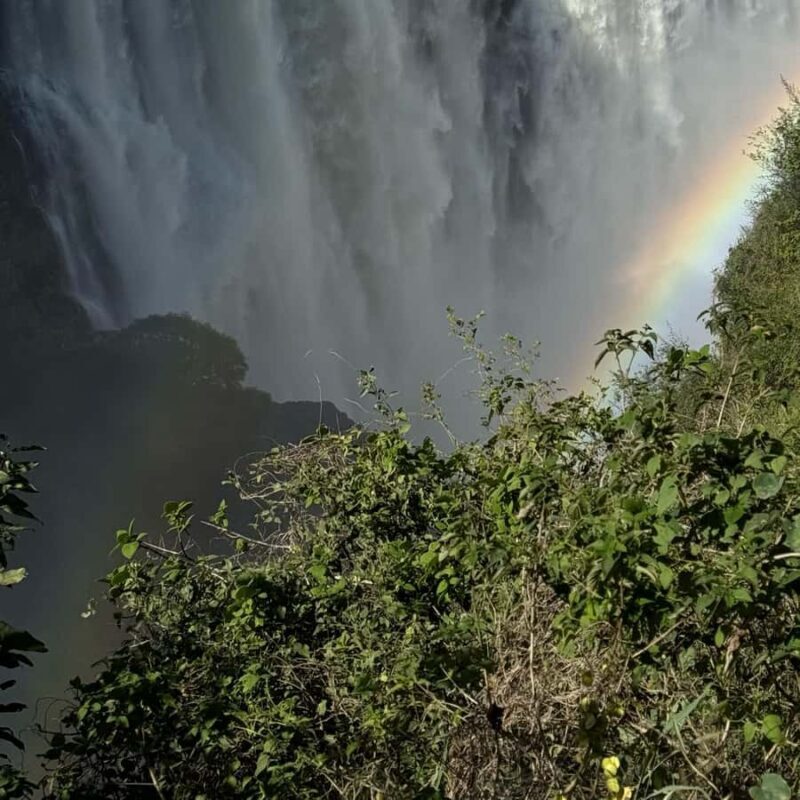 Vic Falls Day Trip - From Kasane - Key Points