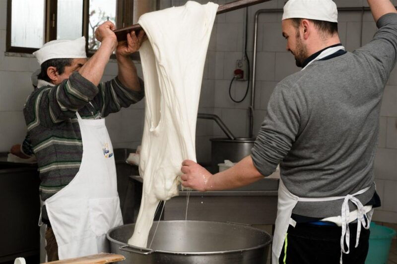 vico-equense-tour-in-the-dairy-mozzarella-experience