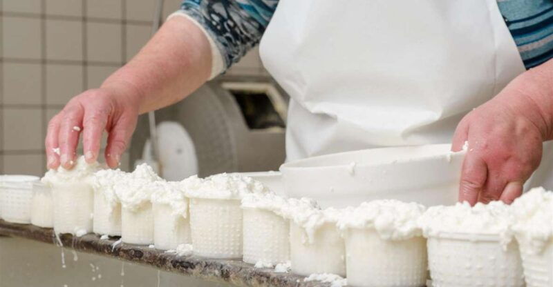 vico-equense-tour-in-the-dairy-mozzarella-experience