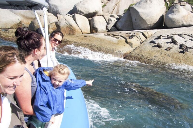Victor Harbor: Seal Island Cruise - Key Points