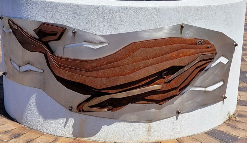 Victor Harbor: Shipwrecks & Settlers Walking Tour - A Closer Look at the Victor Harbor Shipwrecks & Settlers Walking Tour