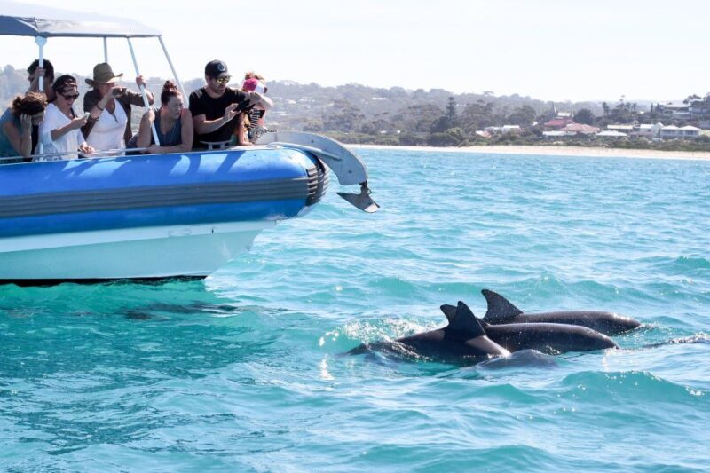 Victor Harbor: Southern Ocean Adventure Cruise with Guide - Who Will Love This Tour?