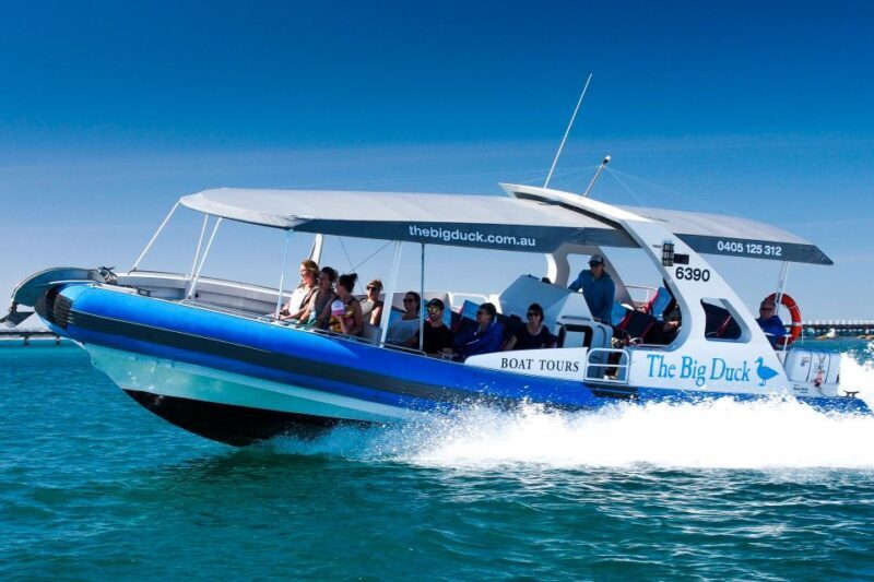 Victor Harbor: Southern Ocean Adventure Cruise with Guide - The Sum Up