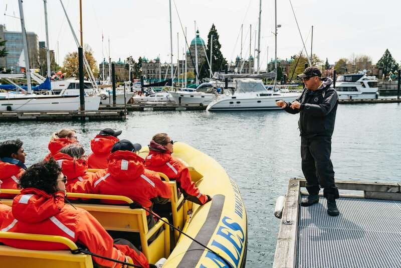 victoria-3-hour-whale-watching-adventure-in-a-zodiac-boat