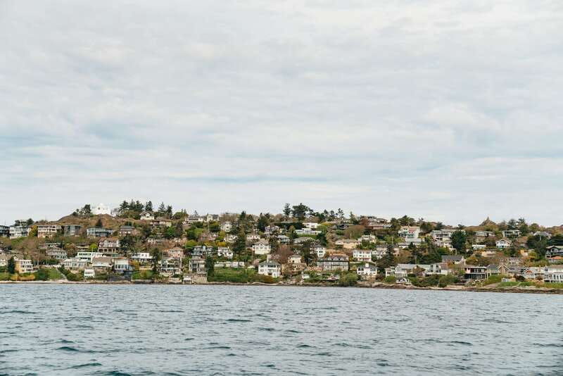 victoria-3-hour-whale-watching-adventure-in-a-zodiac-boat