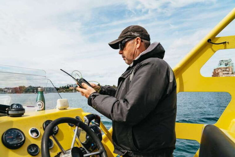 victoria-3-hour-whale-watching-adventure-in-a-zodiac-boat