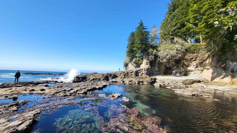 victoria-4-day-tofino-and-port-renfrew-tour-with-flights