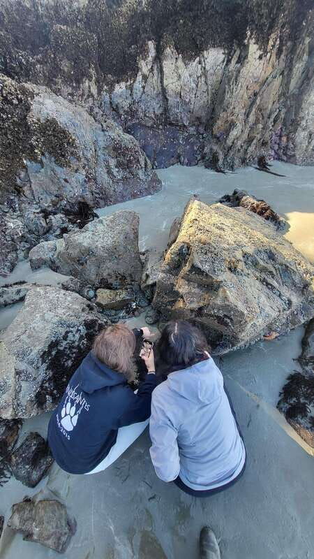 victoria-4-day-tofino-and-port-renfrew-tour-with-flights