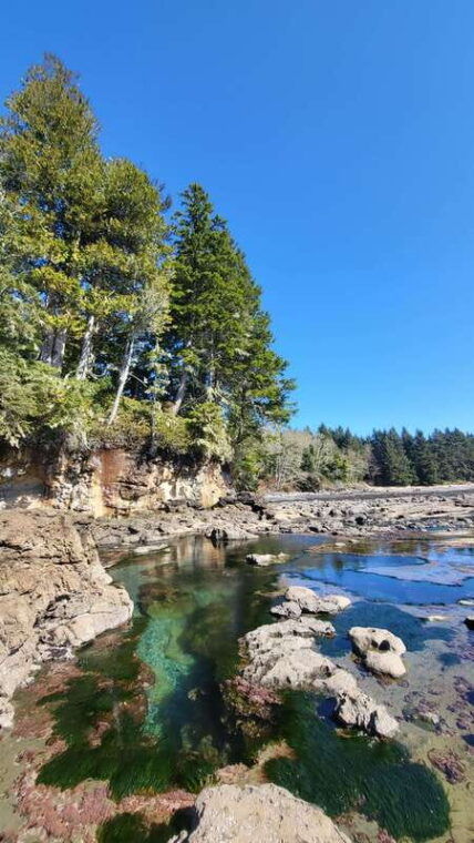 victoria-4-day-tofino-and-port-renfrew-tour-with-flights
