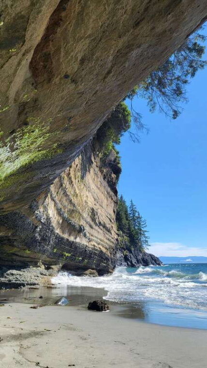 victoria-4-day-tofino-and-port-renfrew-tour-with-flights