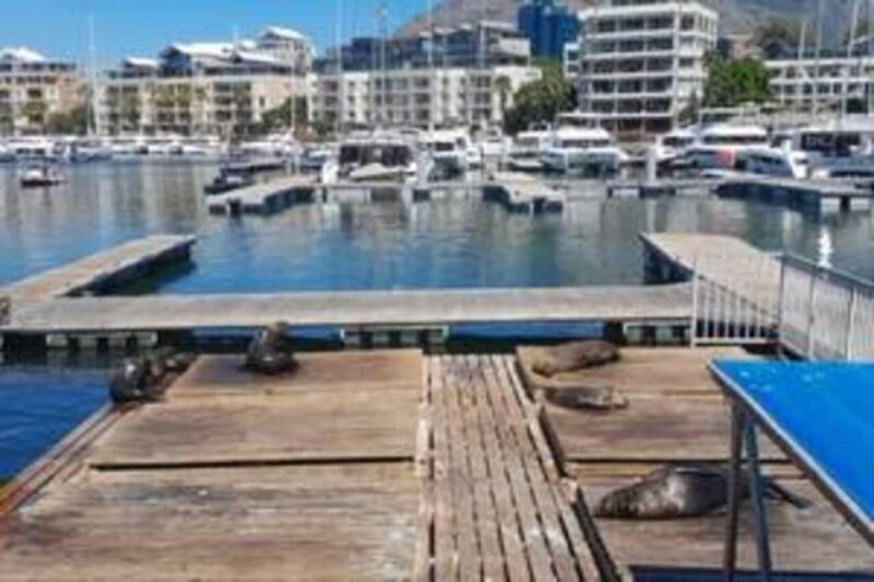 Victoria and Alfred Waterfront Walking tour - Key Points
