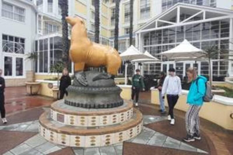 Victoria and Alfred Waterfront Walking tour - Why This Tour Offers Real Value