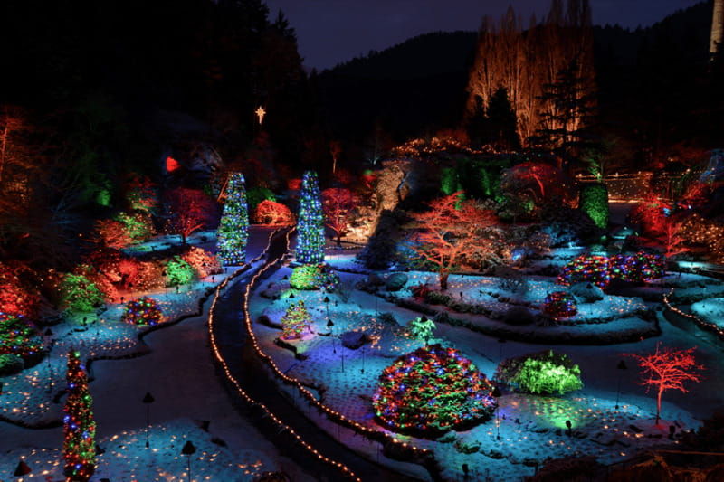 victoria-and-butchart-gardens-christmas-tour