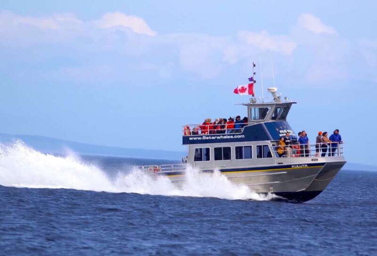 victoria-bc-3-hour-expedition-catamaran-whale-watching-tour