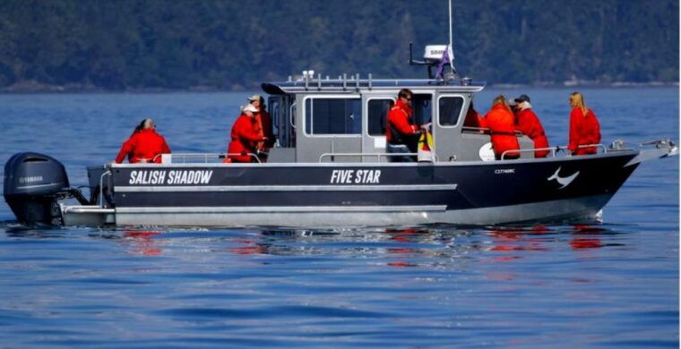 victoria-bc-3-hour-ultimate-whale-marine-wildlife-tour