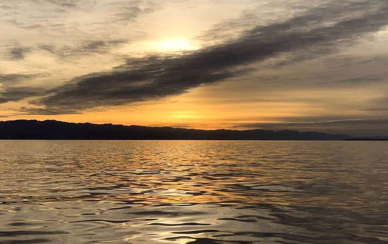 victoria-bc-sunset-whale-watching-tour