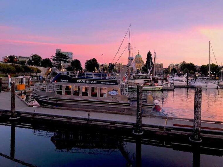 victoria-bc-sunset-whale-watching-tour
