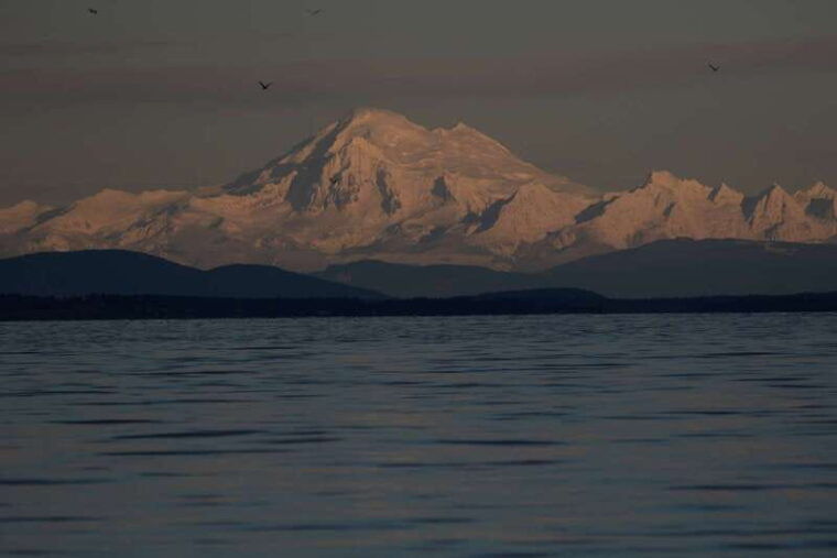 victoria-bc-sunset-whale-watching-tour