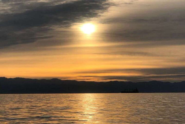 victoria-bc-sunset-whale-watching-tour