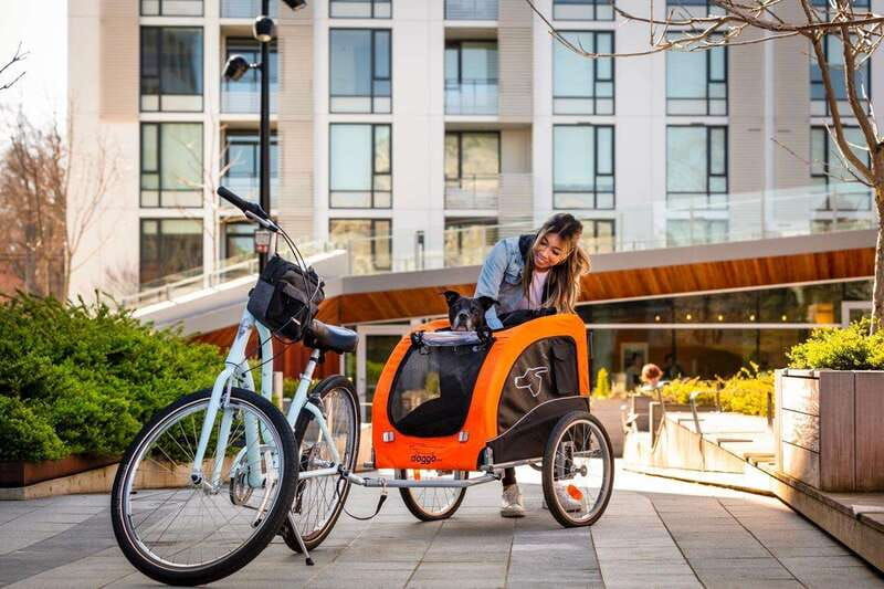 victoria-city-bike-tour-2-5-hr-history-and-highlights-tour