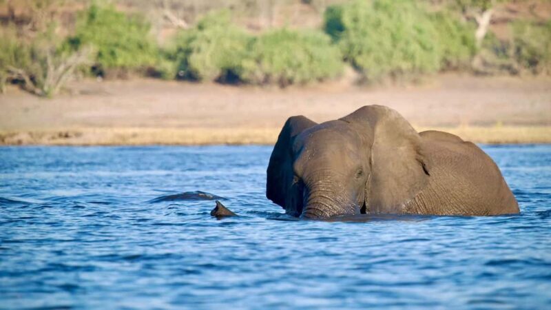 Victoria Falls: 4-Day Tour with Chobe - An In-Depth Look at the 4-Day Victoria Falls & Chobe Experience