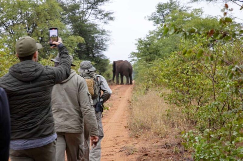 Victoria Falls and Hwange National Park 4-Day Safari Tour - Accommodation & Transportation