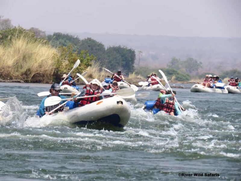 Victoria Falls: Canoeing-Upper Zambezi (Day Trail) - VIATOR - The Itinerary and What to Expect