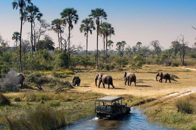 Victoria Falls, Chobe and Okavango Delta 7 nights trip - Practical Considerations and Value
